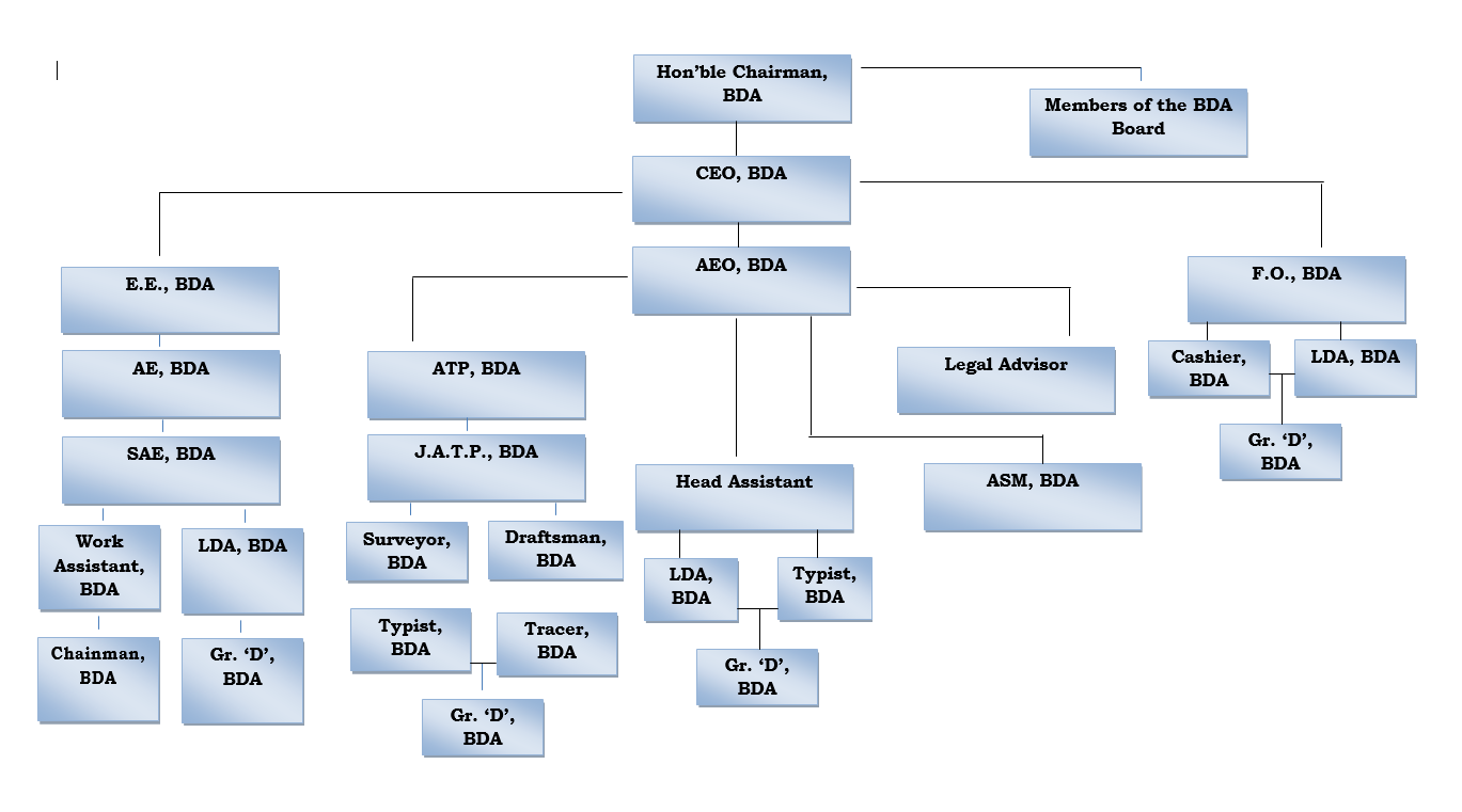 Organizational Structure